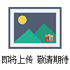 109SS土壤溫度探頭 儀表流量傳感器